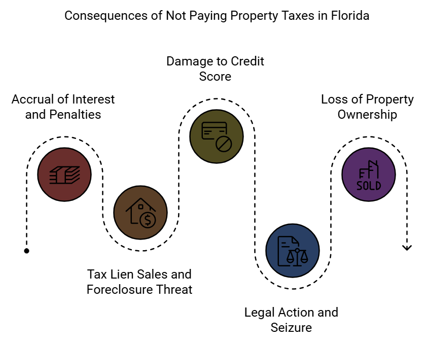 What happens if you don't pay your property taxes in Florida