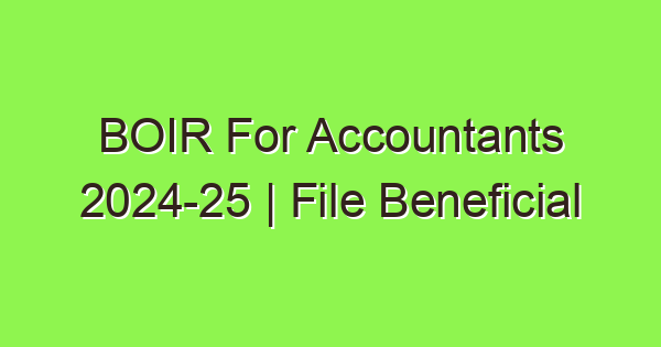 boir for accountants 2024 25 file beneficial ownership information reporting 5275 1