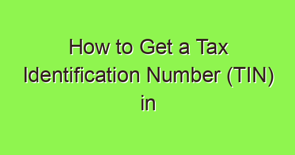 how to get a tax identification number tin in singapore 3823 1