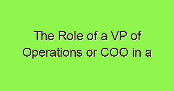 the role of a vp of operations or coo in a startup a comprehensive guide 3769 1