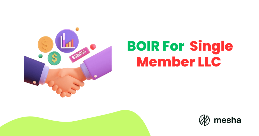 boir for single member llc 1