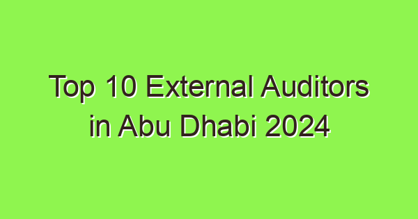 top 10 external auditors in abu dhabi 2024 6383 1